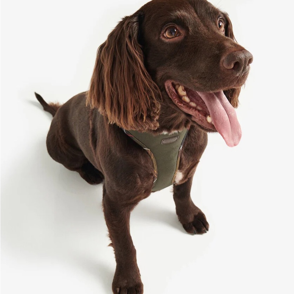 Barbour essential comfy Olive Dog Harness small
